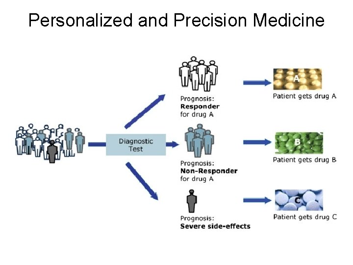 Personalized and Precision Medicine 