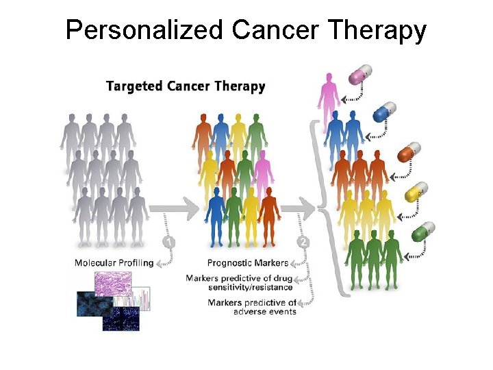 Personalized Cancer Therapy 