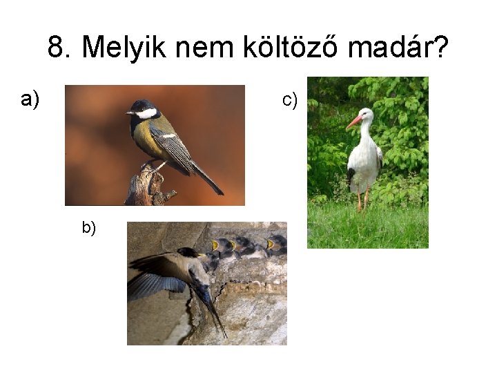 8. Melyik nem költöző madár? a) c) b) 