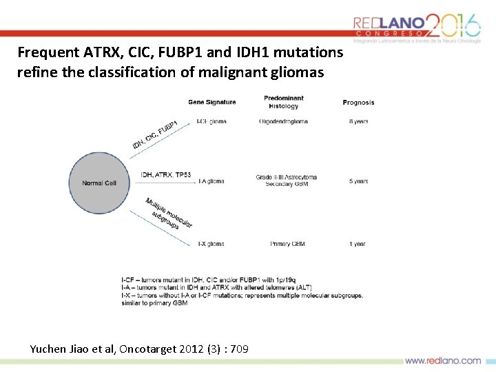 Frequent ATRX, CIC, FUBP 1 and IDH 1 mutations refine the classification of malignant