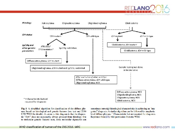 WHO classification of tumors of the CNS 2016. IARC 