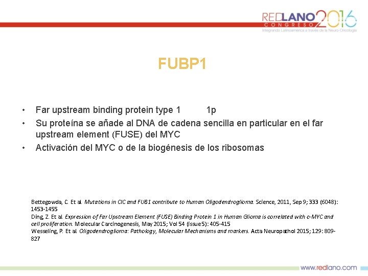 FUBP 1 • • • Far upstream binding protein type 1 1 p Su