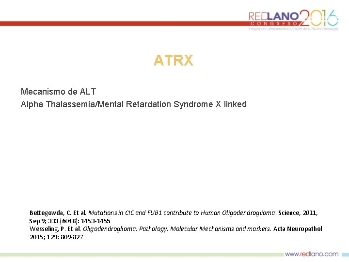ATRX Mecanismo de ALT Alpha Thalassemia/Mental Retardation Syndrome X linked Bettegowda, C. Et al.