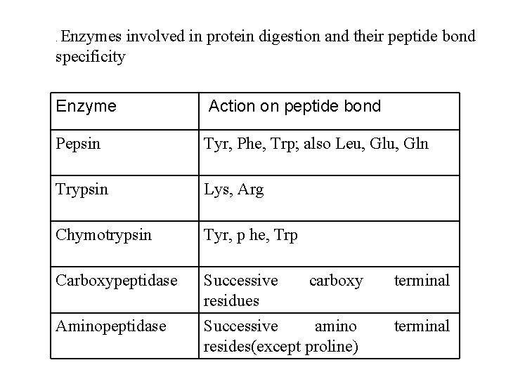 Enzymes involved in protein digestion and their peptide bond specificity. Enzyme Action on peptide