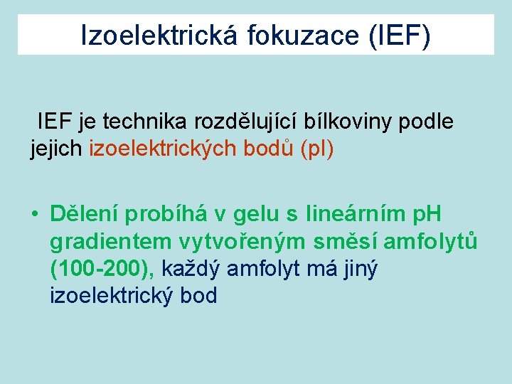 Izoelektrická fokuzace (IEF) IEF je technika rozdělující bílkoviny podle jejich izoelektrických bodů (p. I)