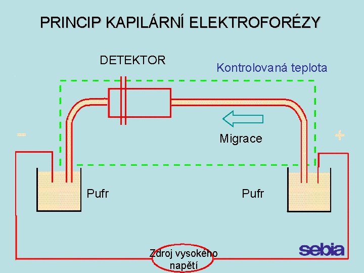 PRINCIP KAPILÁRNÍ ELEKTROFORÉZY DETEKTOR Kontrolovaná teplota Migrace Pufr Zdroj vysokého napětí 