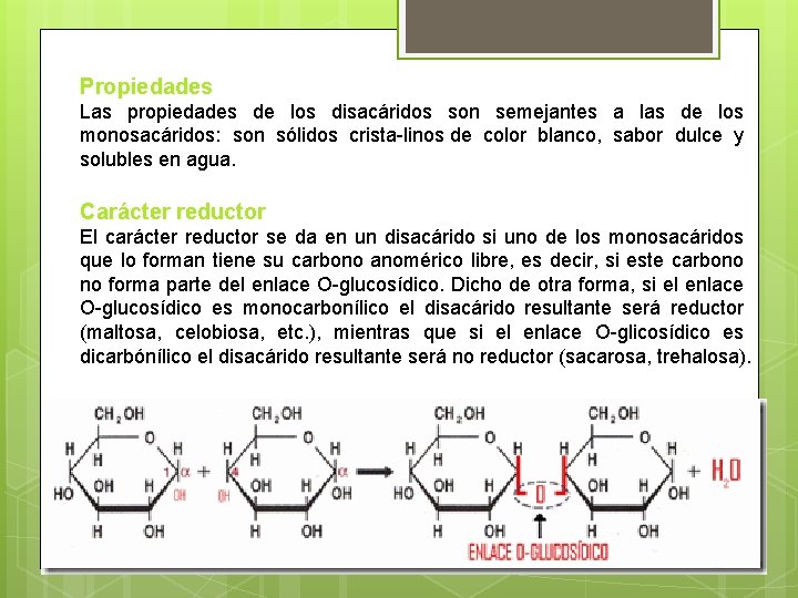 Propiedades Las propiedades de los disacáridos son semejantes a las de los monosacáridos: son