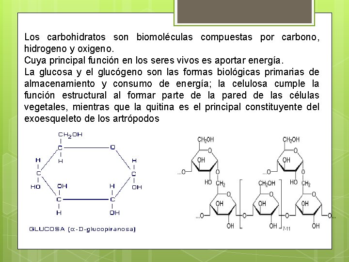 Los carbohidratos son biomoléculas compuestas por carbono, hidrogeno y oxigeno. Cuya principal función en