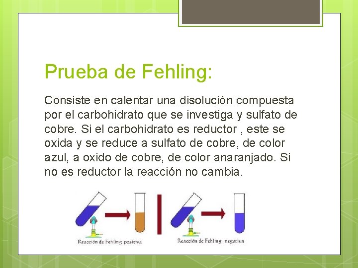 Prueba de Fehling: Consiste en calentar una disolución compuesta por el carbohidrato que se