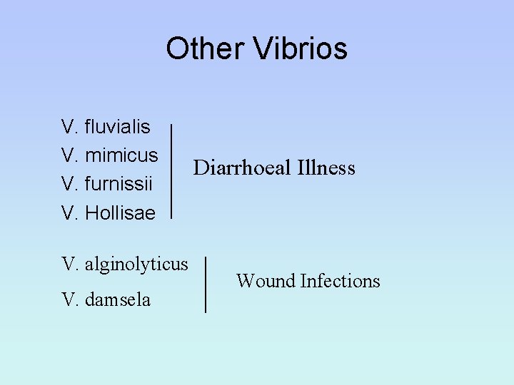 Other Vibrios V. fluvialis V. mimicus V. furnissii V. Hollisae V. alginolyticus V. damsela