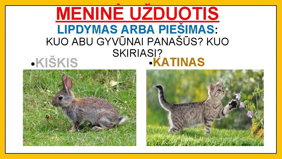 MENINĖ UŽDUOTIS LIPDYMAS ARBA PIEŠIMAS: KUO ABU GYVŪNAI PANAŠŪS? KUO SKIRIASI? • KIŠKIS •