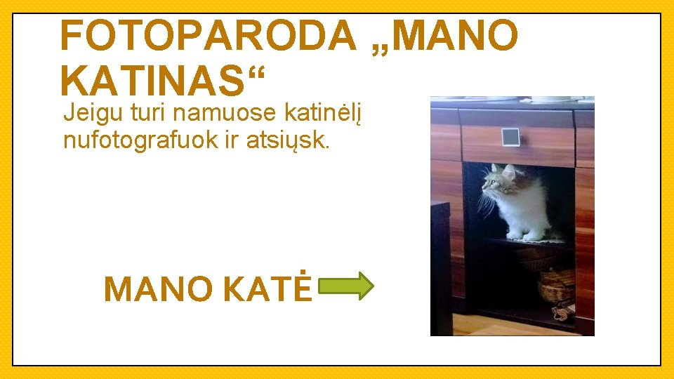 FOTOPARODA „MANO KATINAS“ Jeigu turi namuose katinėlį nufotografuok ir atsiųsk. MANO KATĖ 