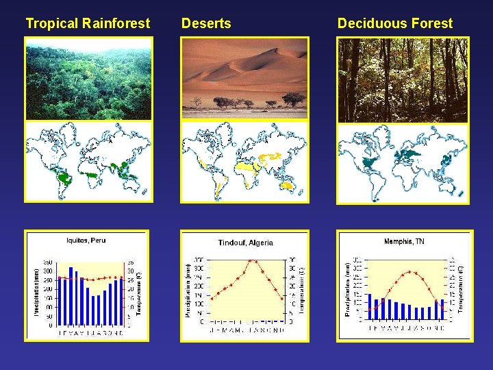 Tropical Rainforest Deserts Deciduous Forest 