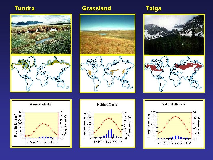 Tundra Grassland Taiga 