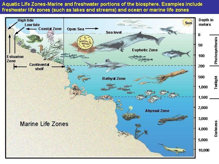 Aquatic Life Zones-Marine and freshwater portions of the biosphere. Examples include freshwater life zones