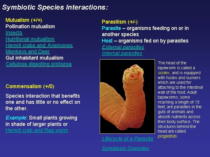 Symbiotic Species Interactions: Mutualism (+/+) Pollination mutualism Insects Nutritional mutualism Hermit crabs and Anemones