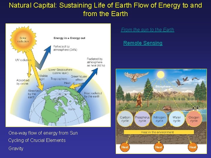 Natural Capital: Sustaining Life of Earth Flow of Energy to and from the Earth