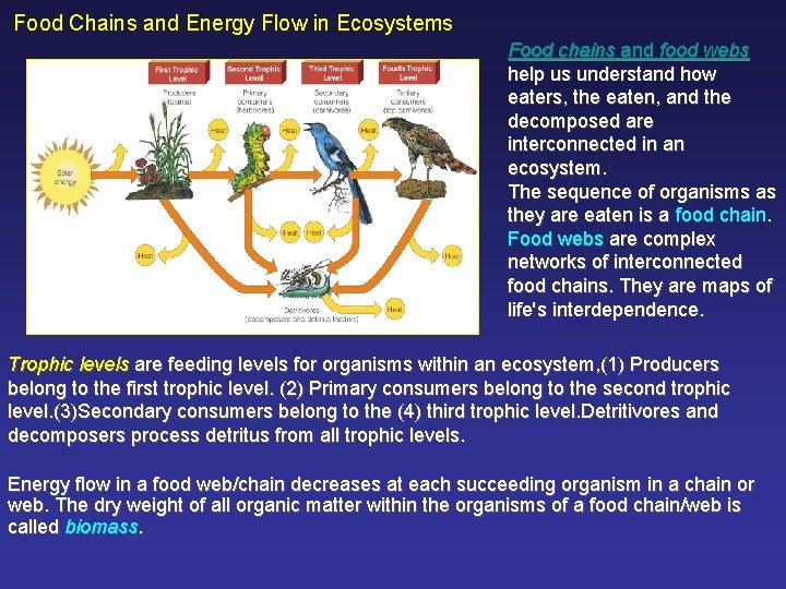 Food Chains and Energy Flow in Ecosystems Food chains and food webs help us