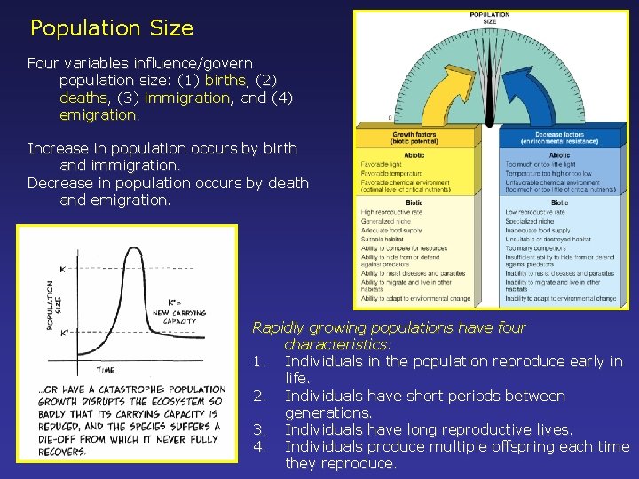 Population Size Four variables influence/govern population size: (1) births, (2) deaths, (3) immigration, and