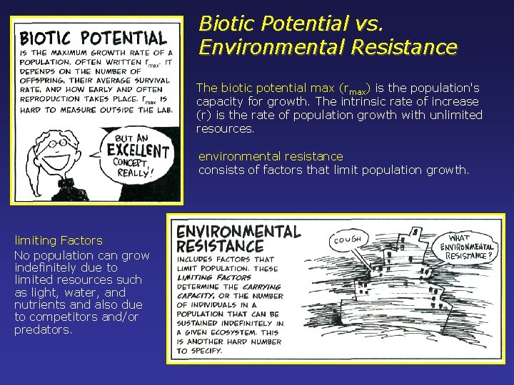 Biotic Potential vs. Environmental Resistance The biotic potential max (rmax) is the population's capacity