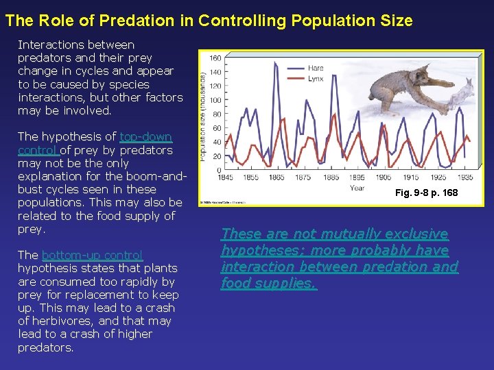 The Role of Predation in Controlling Population Size Interactions between predators and their prey