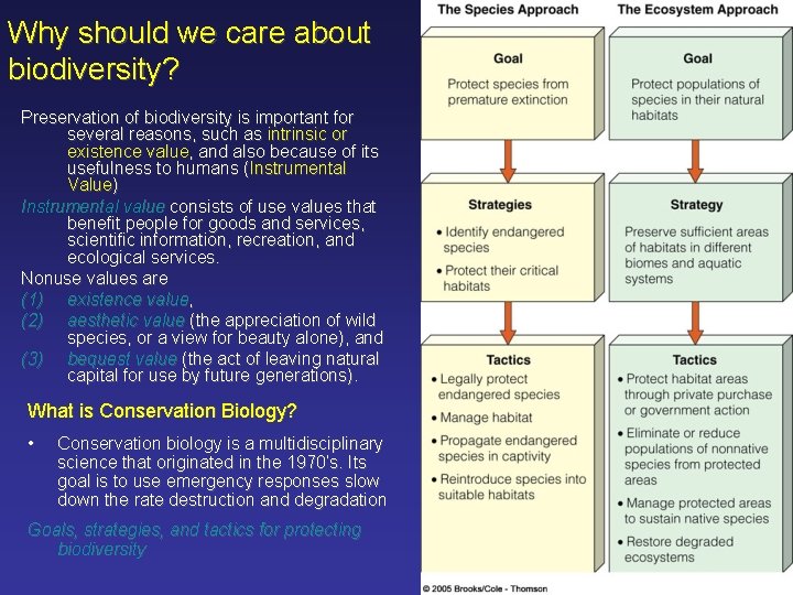 Why should we care about biodiversity? Preservation of biodiversity is important for several reasons,