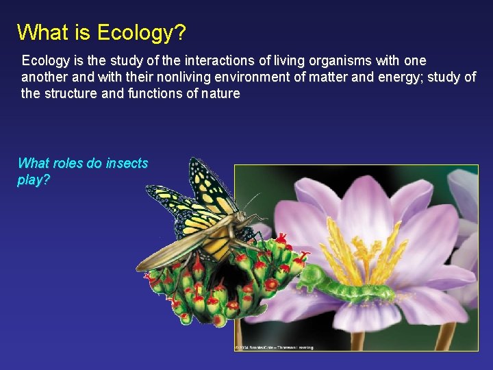What is Ecology? Ecology is the study of the interactions of living organisms with