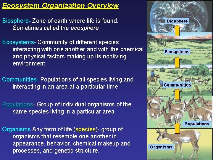 Ecosystem Organization Overview Biosphere- Zone of earth where life is found. Sometimes called the