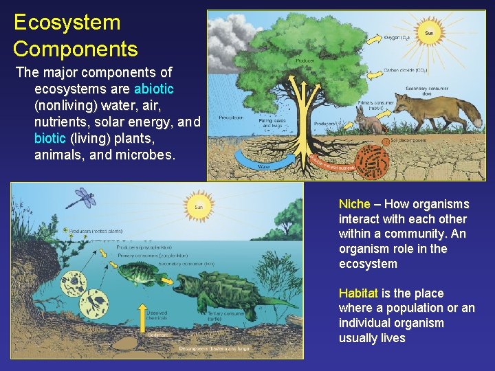 Ecosystem Components The major components of ecosystems are abiotic (nonliving) water, air, nutrients, solar