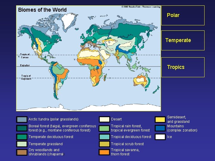 Biomes of the World Polar Temperate Tropic of Cancer Equator Tropics Tropic of Capricorn