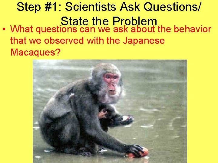 Step #1: Scientists Ask Questions/ State the Problem • What questions can we ask