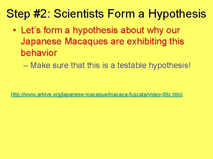 Step #2: Scientists Form a Hypothesis • Let’s form a hypothesis about why our