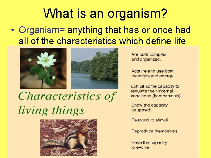 What is an organism? • Organism= anything that has or once had all of