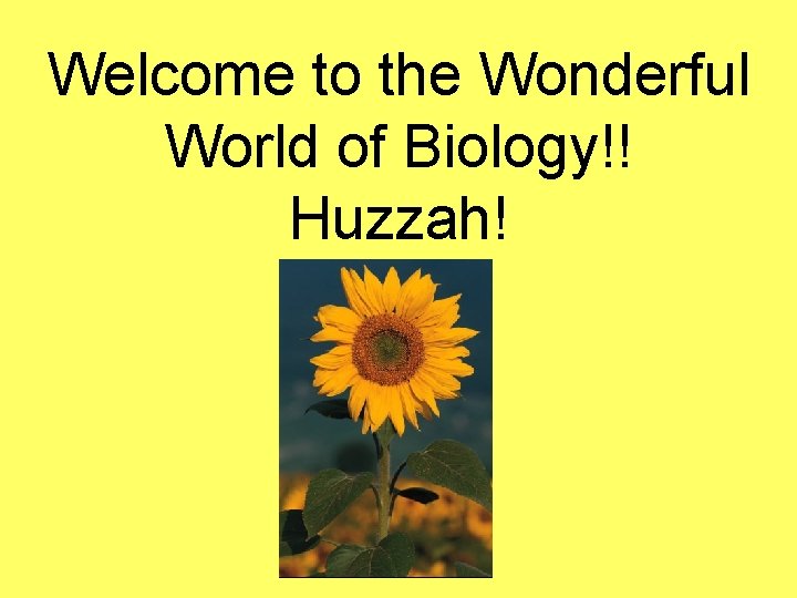 Welcome to the Wonderful World of Biology!! Huzzah! 