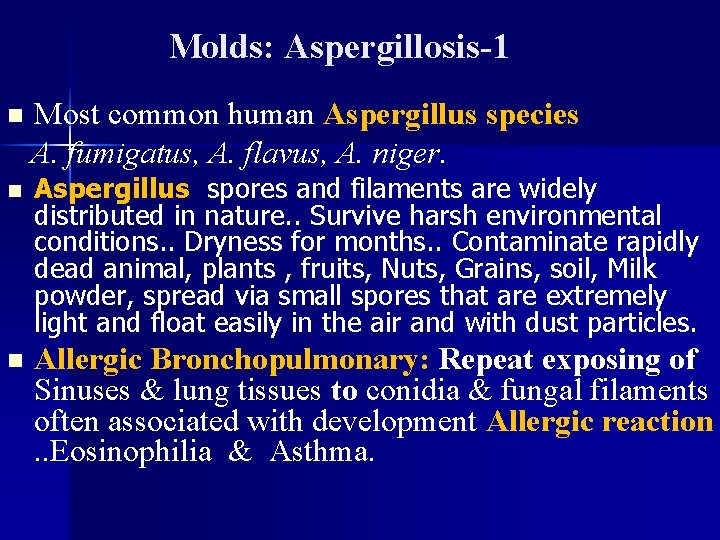 Molds: Aspergillosis-1 n Most common human Aspergillus species A. fumigatus, A. flavus, A. niger.