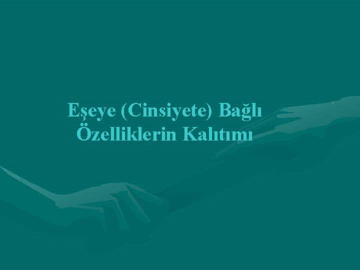 Eşeye (Cinsiyete) Bağlı Özelliklerin Kalıtımı 