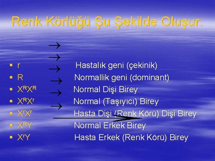 Renk Körlüğü Şu Şekilde Oluşur: § § § § r R X RX r