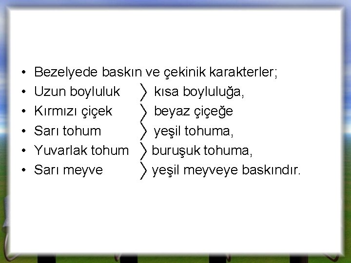  • • • Bezelyede baskın ve çekinik karakterler; Uzun boyluluk kısa boyluluğa, Kırmızı