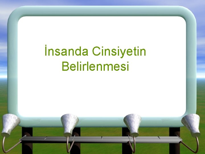 İnsanda Cinsiyetin Belirlenmesi 