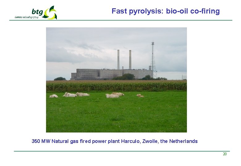 Fast pyrolysis: bio-oil co-firing 350 MW Natural gas fired power plant Harculo, Zwolle, the