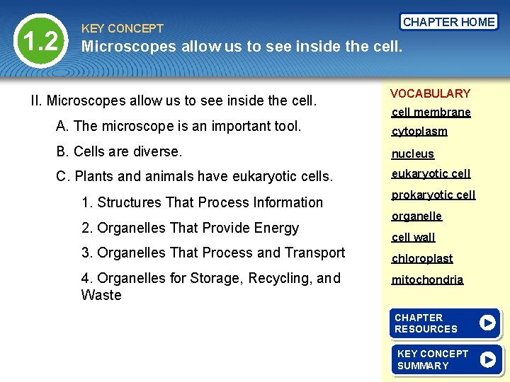 1. 2 KEY CONCEPT CHAPTER HOME Microscopes allow us to see inside the cell.