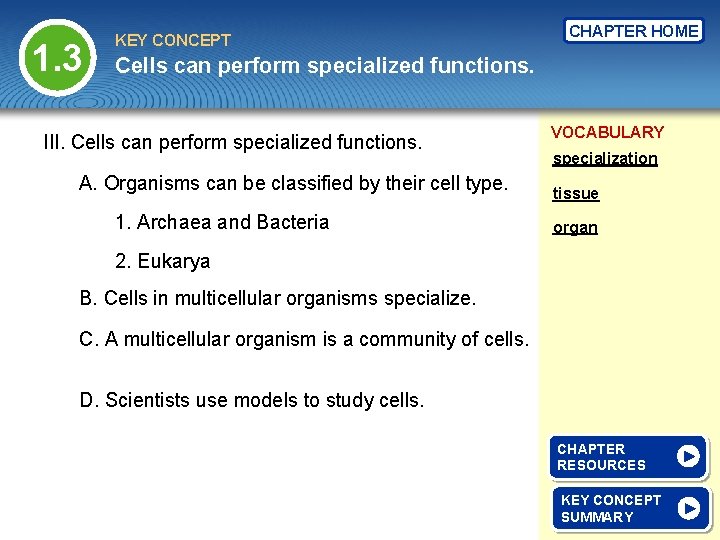 1. 3 KEY CONCEPT CHAPTER HOME Cells can perform specialized functions. III. Cells can