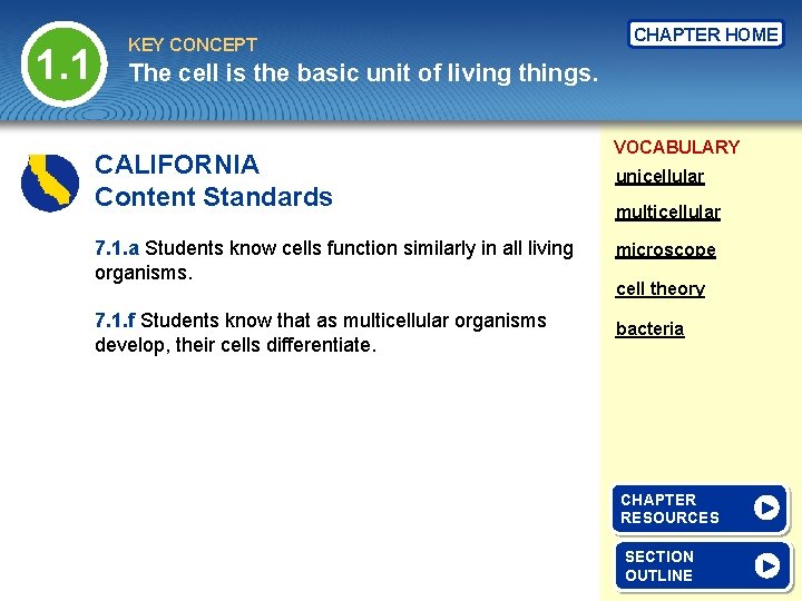 1. 1 KEY CONCEPT CHAPTER HOME The cell is the basic unit of living