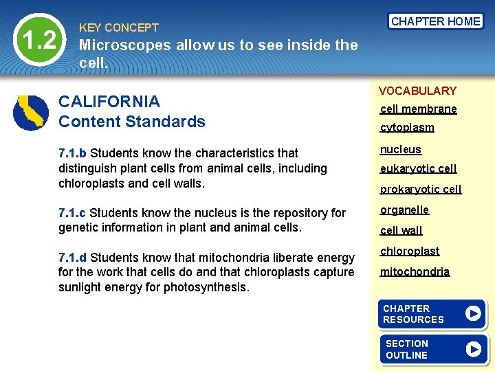 1. 2 KEY CONCEPT CHAPTER HOME Microscopes allow us to see inside the cell.
