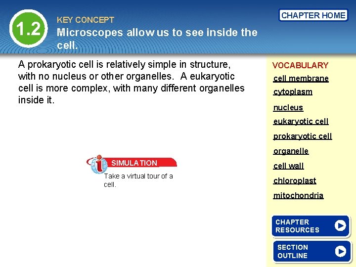 1. 2 KEY CONCEPT CHAPTER HOME Microscopes allow us to see inside the cell.