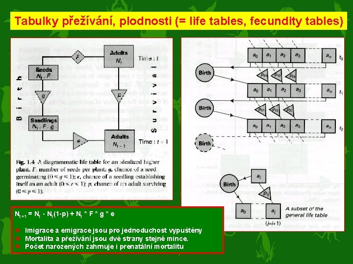 Tabulky přežívání, plodnosti (= life tables, fecundity tables) Nt+1 = Nt - Nt(1 -p)