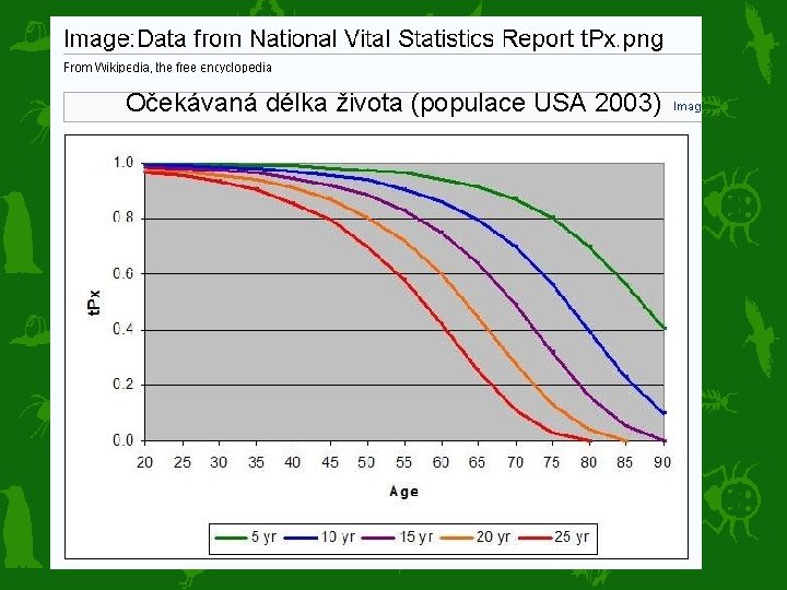 Očekávaná délka života (populace USA 2003) 