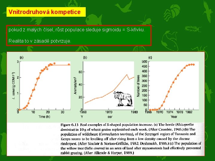 Vnitrodruhová kompetice pokud z malých čísel, růst populace sleduje sigmoidu = S-křivku. Realita to