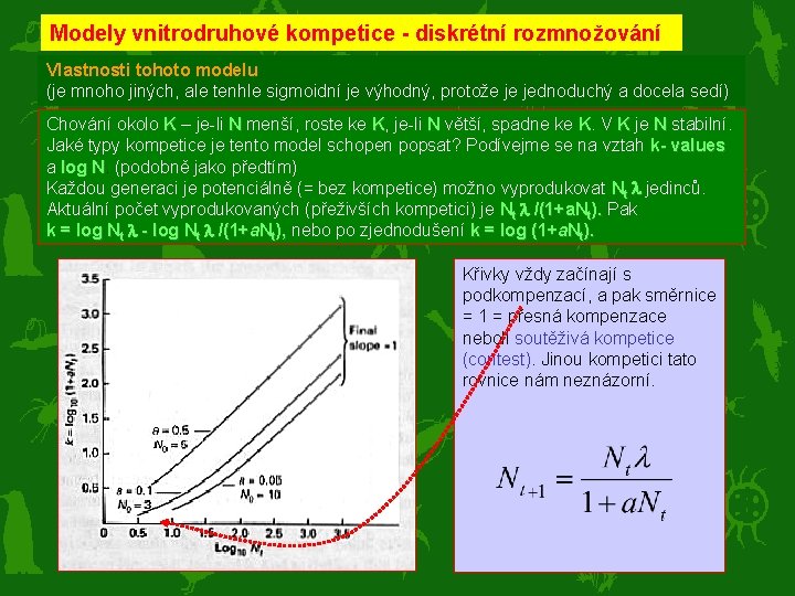 Modely vnitrodruhové kompetice - diskrétní rozmnožování Vlastnosti tohoto modelu (je mnoho jiných, ale tenhle