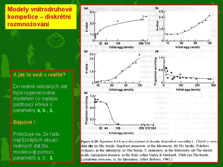 Modely vnitrodruhové kompetice – diskrétní rozmnožování A jak to sedí v realitě? Do reálně